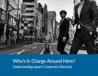 japan corporate titles, international due diligence, vcheck global